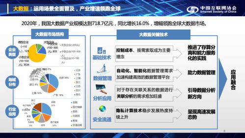 中国互联网发展报告2021年